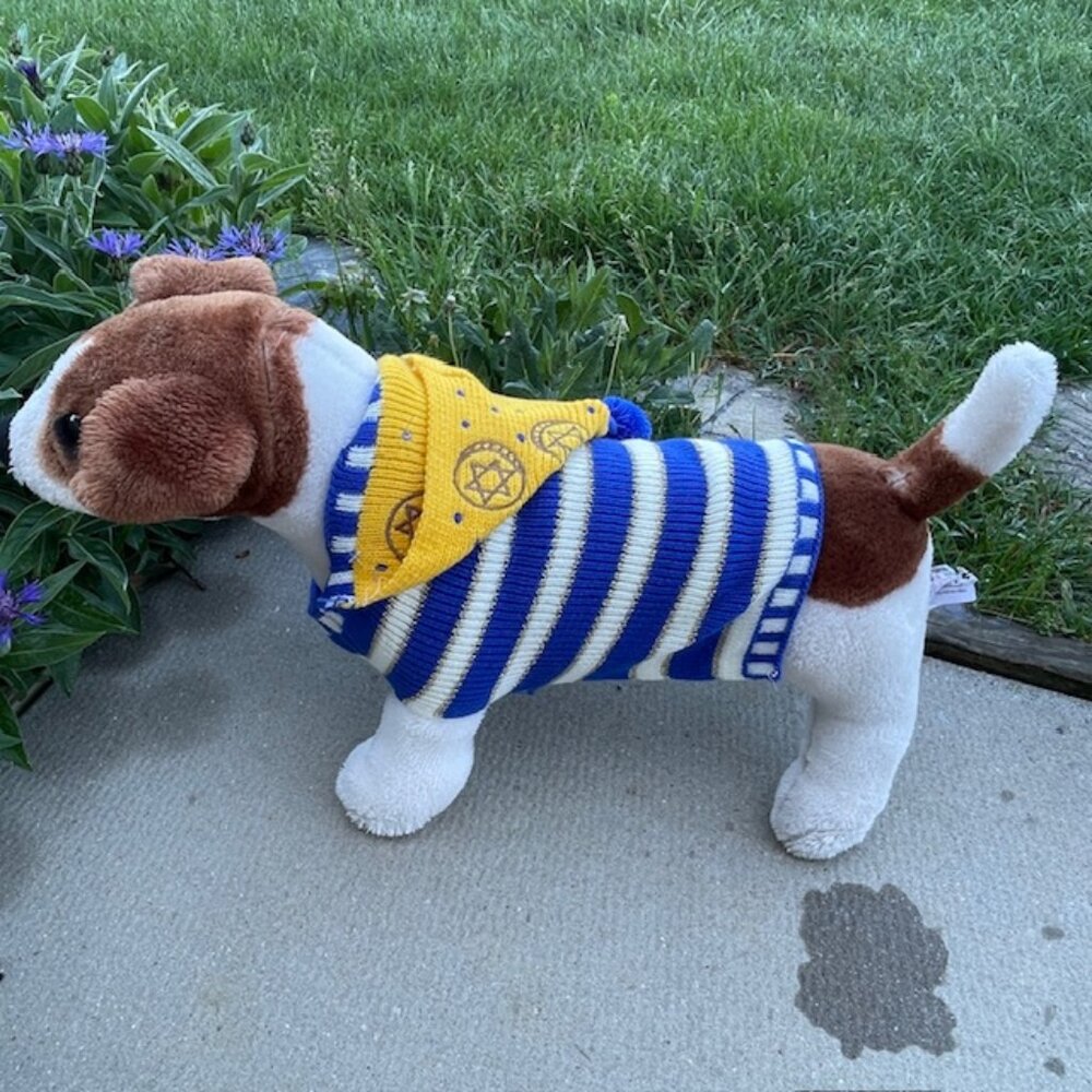 WHOOPI C For Chanukah Blue White And Yellow Dog Sweater & Beanie Set Large